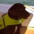 Profile picture of Sheryl