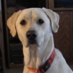 Profile picture of Arneda & Denny